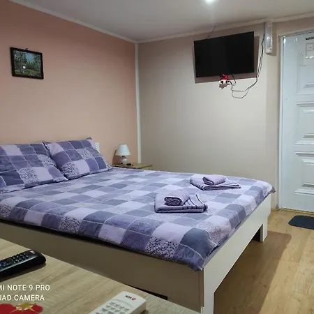 3 Andjela Apartment Vrdnik Exterior photo
